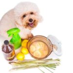 Cómo eliminar parásitos en perros con remedios caseros