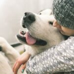 Cómo sienten el amor los perros